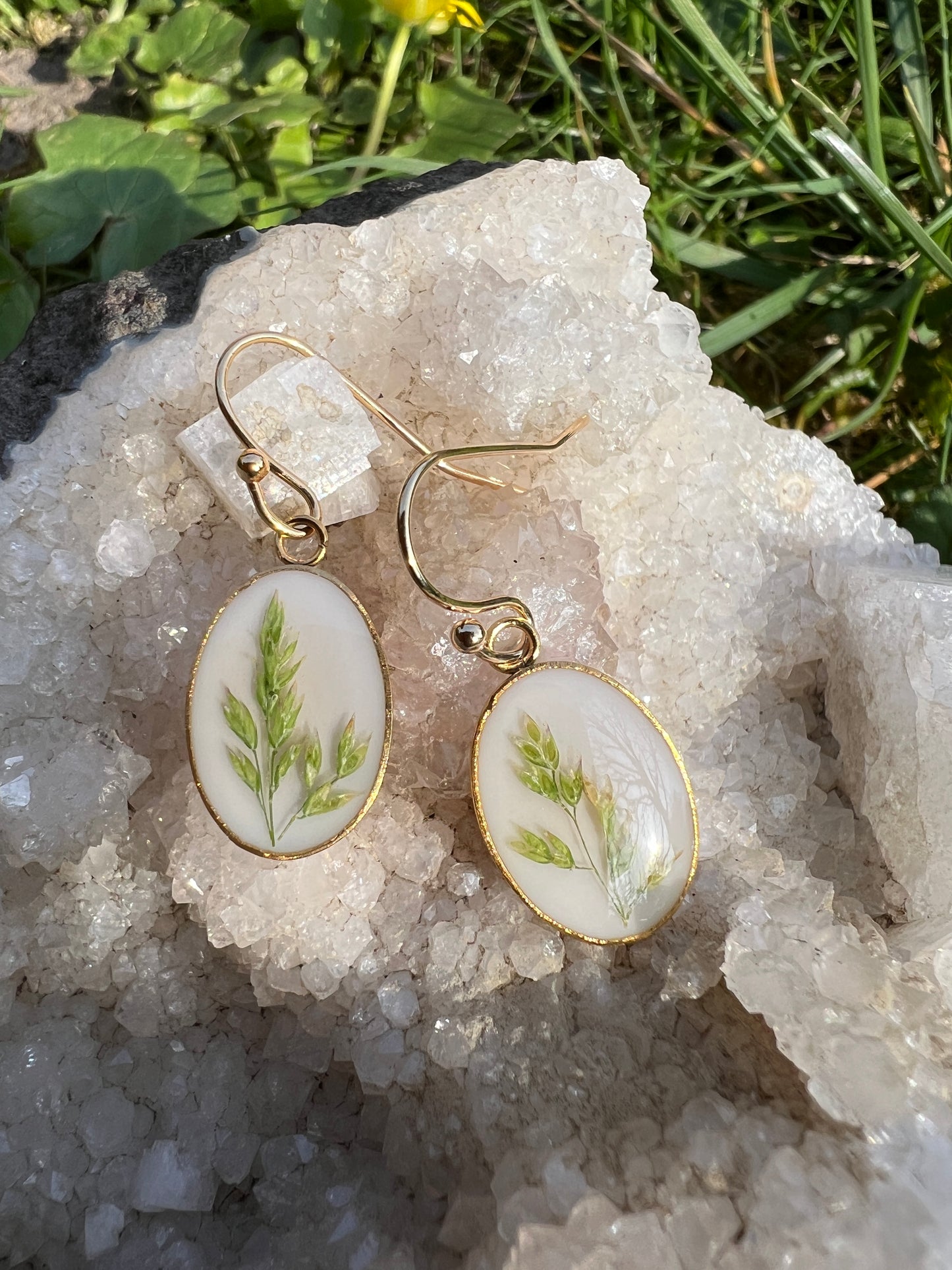 Whispering Meadow - Set