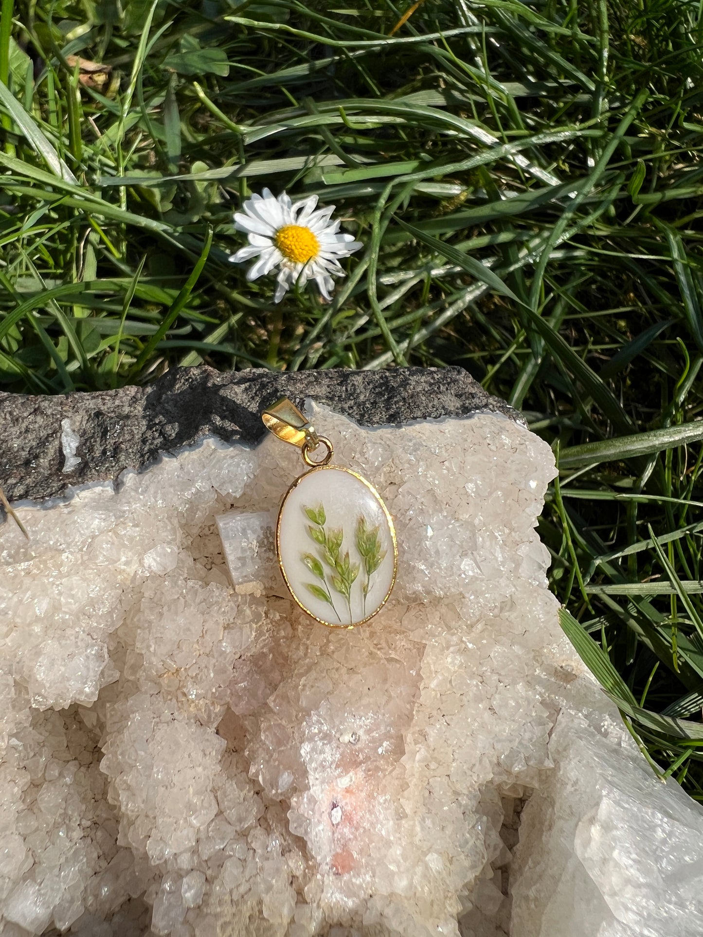 Whispering Meadow - Set