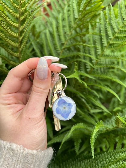 Tinker friend - blue Hortensia