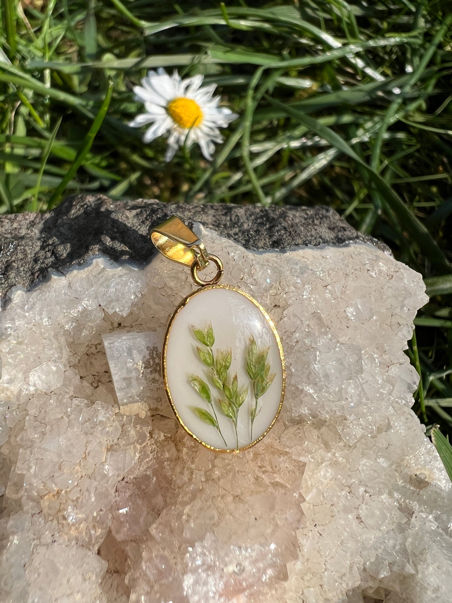 Whispering Meadow - Set