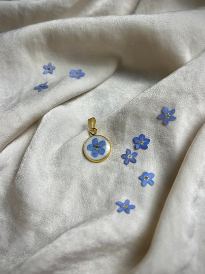 Forget me not - sunlit (Vergiss mein Nicht)