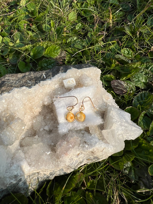 Amber Drops