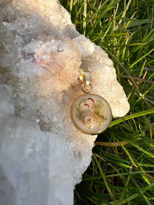 Snail Trail