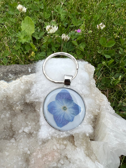 Tinker friend - blue Hortensia