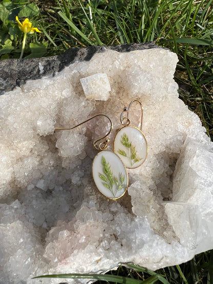 Whispering Meadow - Set