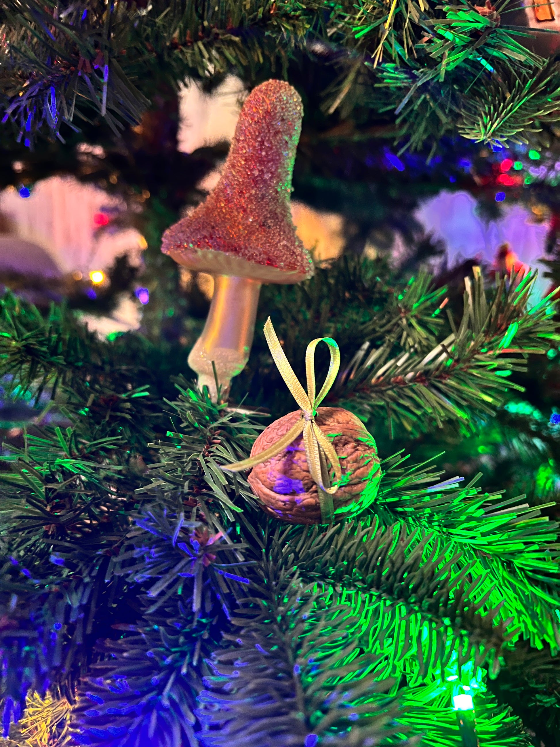 Yourfairysister Schmuck in echten Walnüssen verschenken als Überraschungsmoment, Weihnachten Geschenke